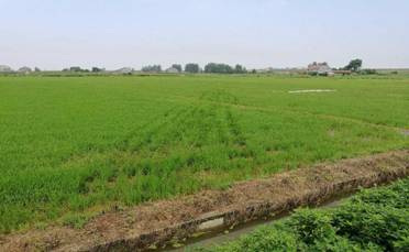 C:\Documents and Settings\Administrator\桌麵\麋鹿mmexport1499071653209.jpg