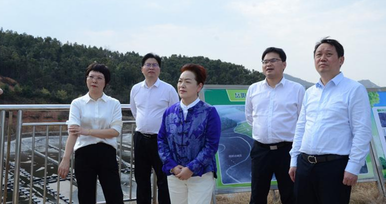 省第二督察組組長率隊到嶽陽縣開展下沉督察