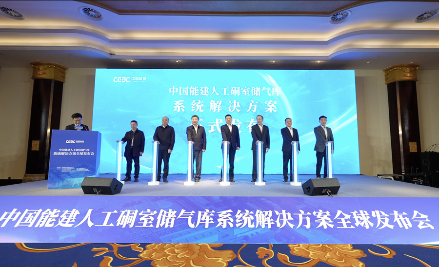 發布儀式。受訪單位供圖