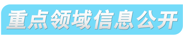 重點領域信息公開